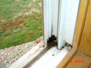 This shows a close-up of exposed water damage on the exterior of a house.