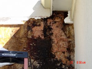 This is an image of exposed water damage on an exterior wall.