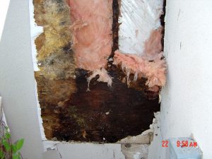 Shown is an exterior wall with the water damage exposed.