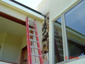 Shown here is an exterior wall with water damage being repaired.